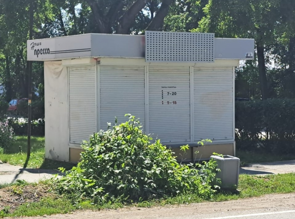 Фото: Дарья Деева